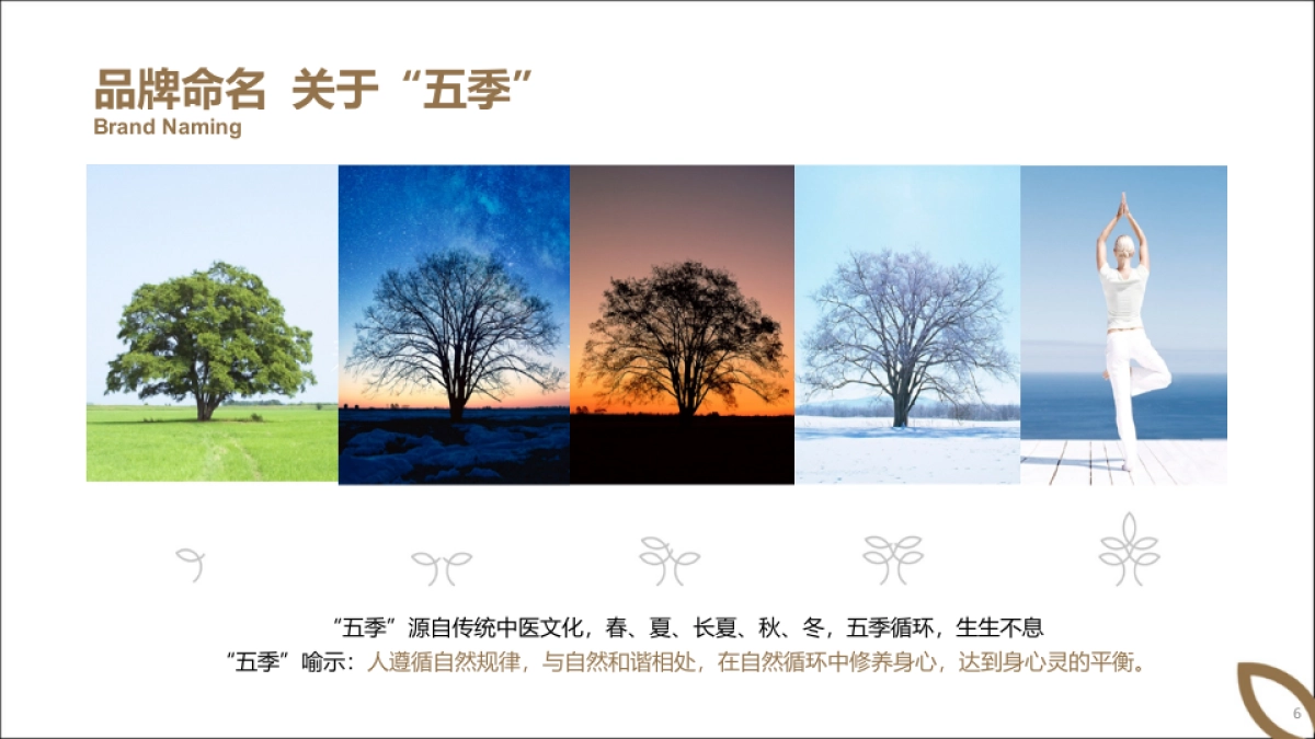 品牌策划丨健康养生酒店五季金陵品牌定位规划方案2025_第6页