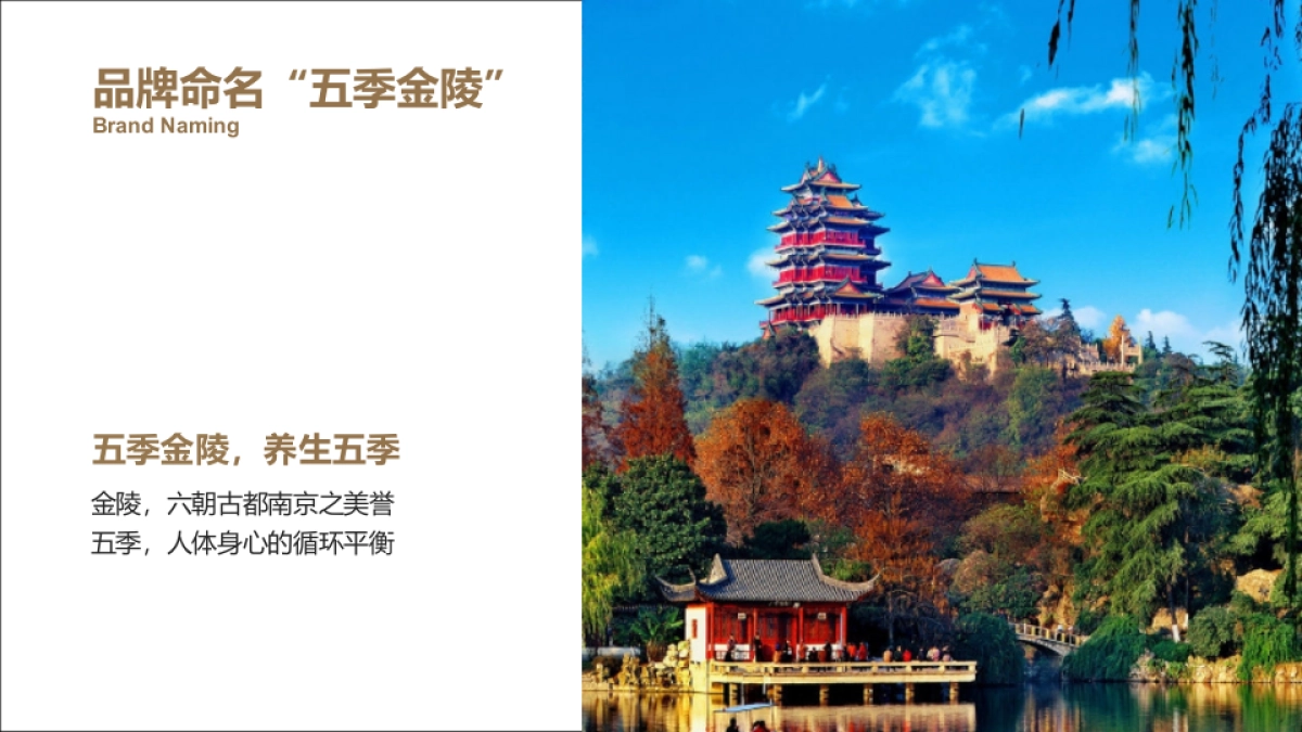 品牌策划丨健康养生酒店五季金陵品牌定位规划方案2025_第7页