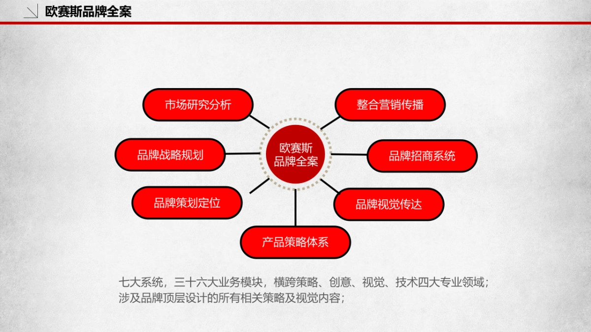 品牌策划必备模板_第2页