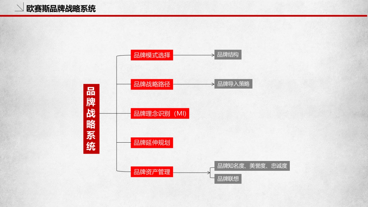 品牌策划必备模板_第5页