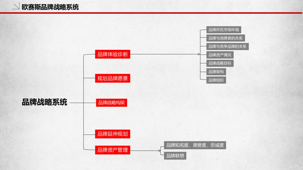 品牌策划必备模板_第6页