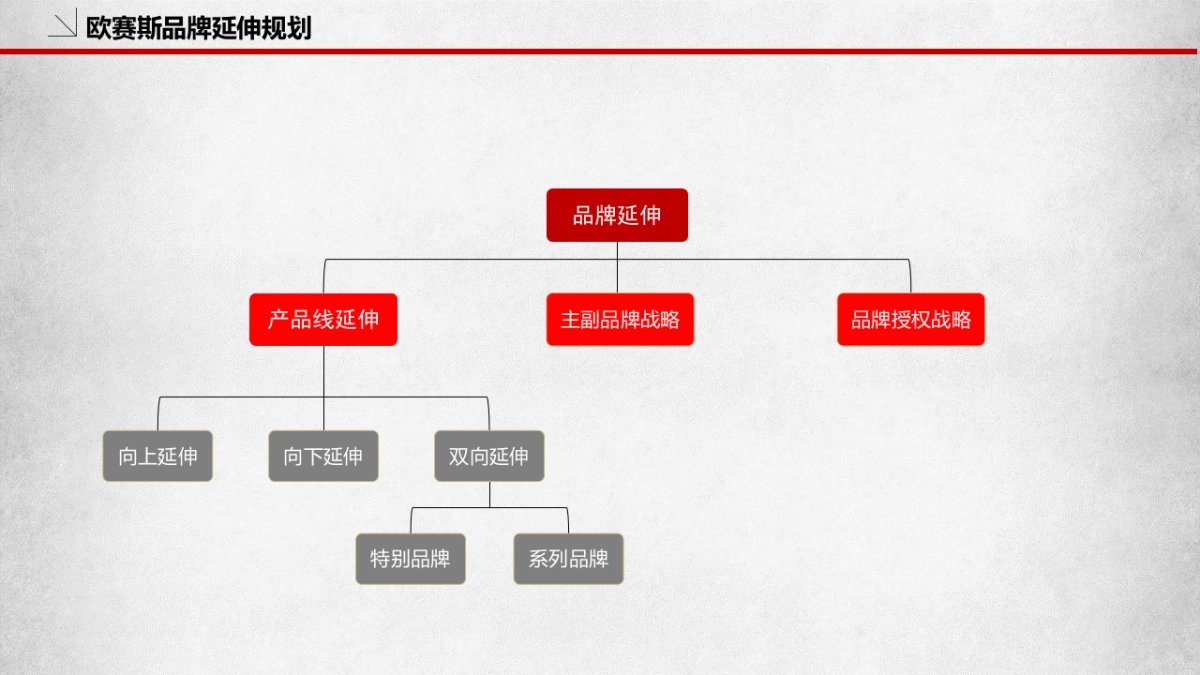 品牌策划必备模板_第8页