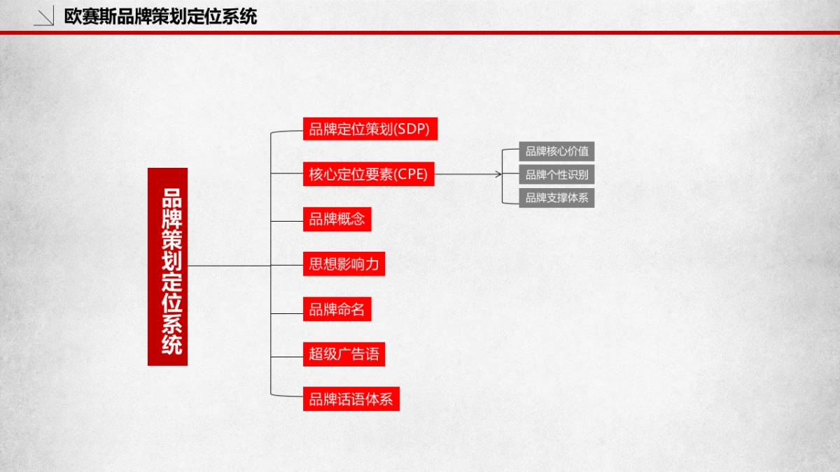 品牌策划必备模板_第9页