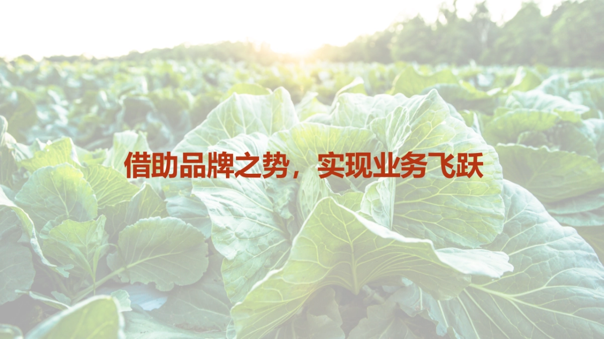 卫龙雪魔芋食品包装方案_第2页