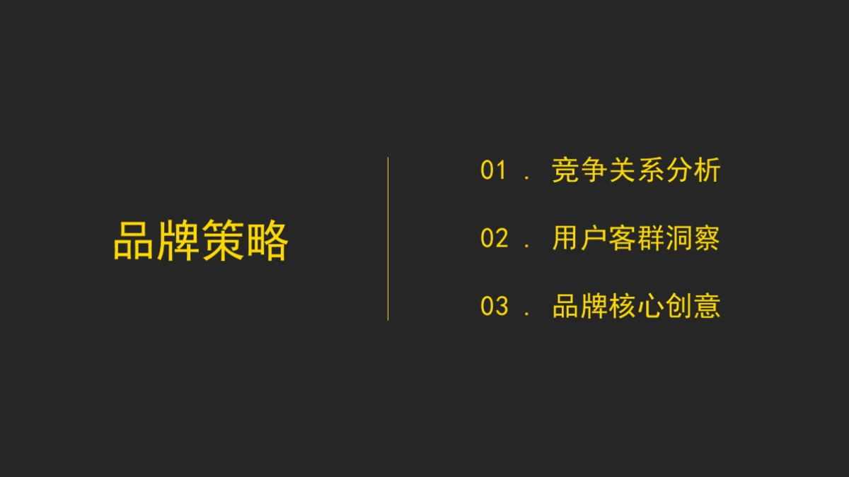 轻奈品牌策划案_第3页