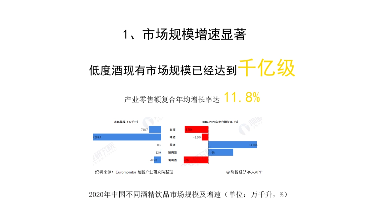 轻奈品牌策划案_第6页