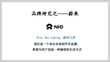 品牌研究-蔚来横版
