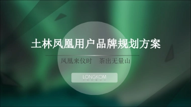 茶叶用户品牌规划方案-60页