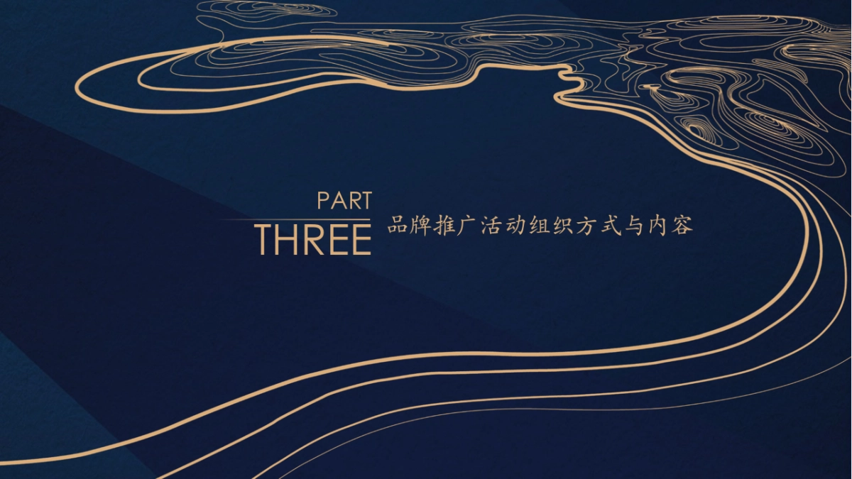 梦之蓝品推方案_第10页