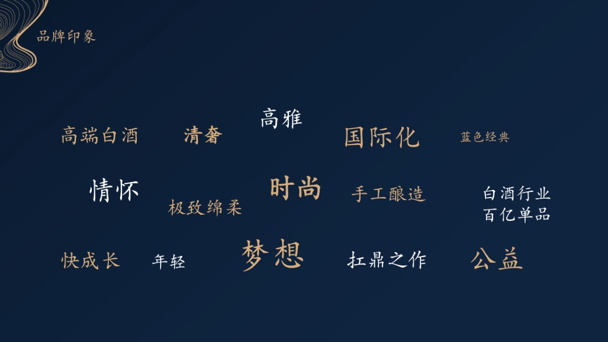 梦之蓝品推方案_第5页