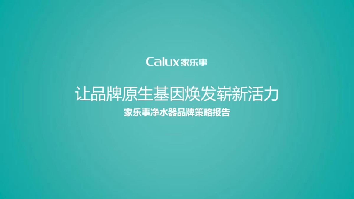家用净水器品牌策略报告_第1页