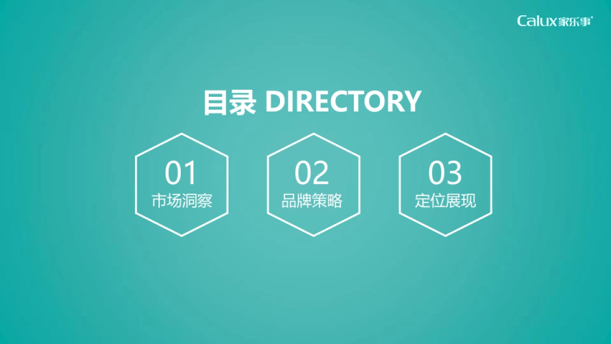 家用净水器品牌策略报告_第2页