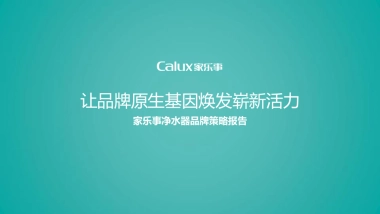 家用净水器品牌策略报告