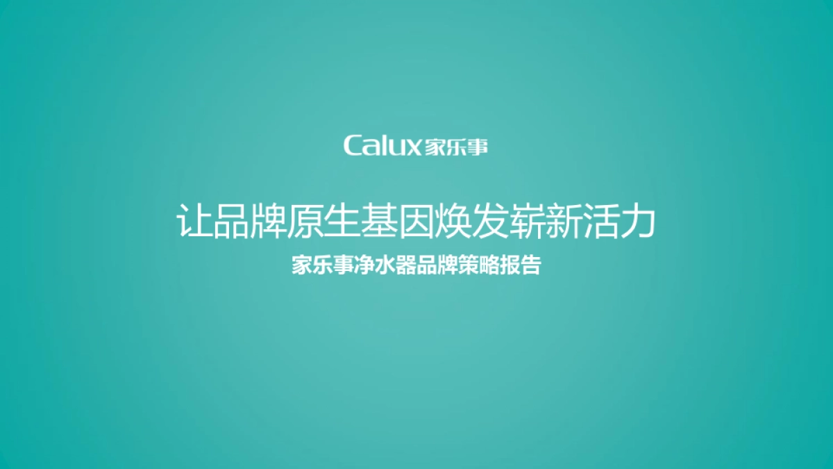 家乐事品牌策略报告_第1页