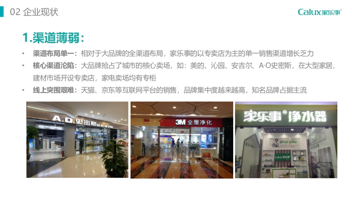 家乐事品牌策略报告_第9页