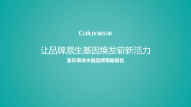 家乐事品牌策略报告