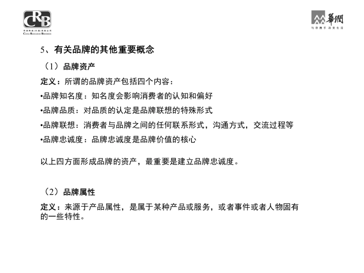 华润集团品牌管理手册_第10页