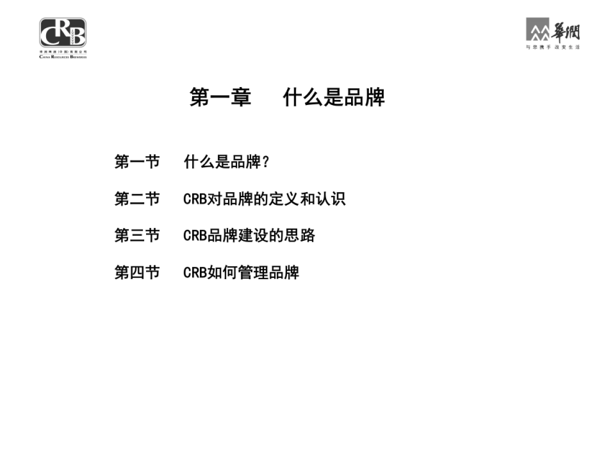 华润集团品牌管理手册_第7页