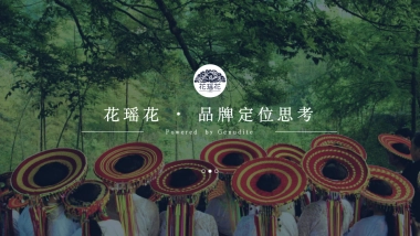 花瑶花化妆品品牌定位传播案