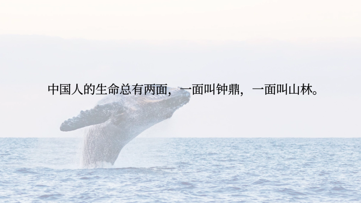 好浪啊文旅露营品牌包装方案_第2页