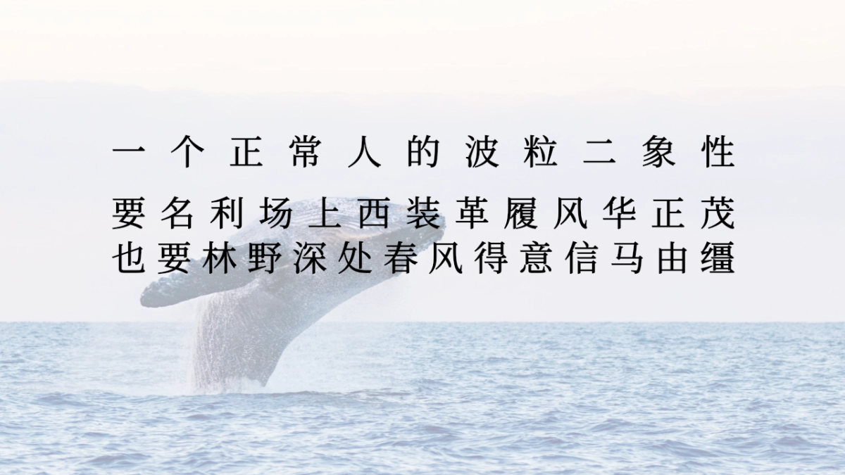 好浪啊文旅露营品牌包装方案_第4页