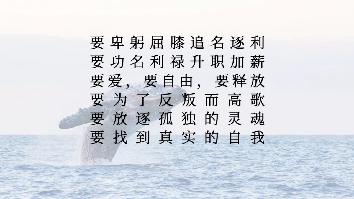 好浪啊文旅露营品牌包装方案_第5页