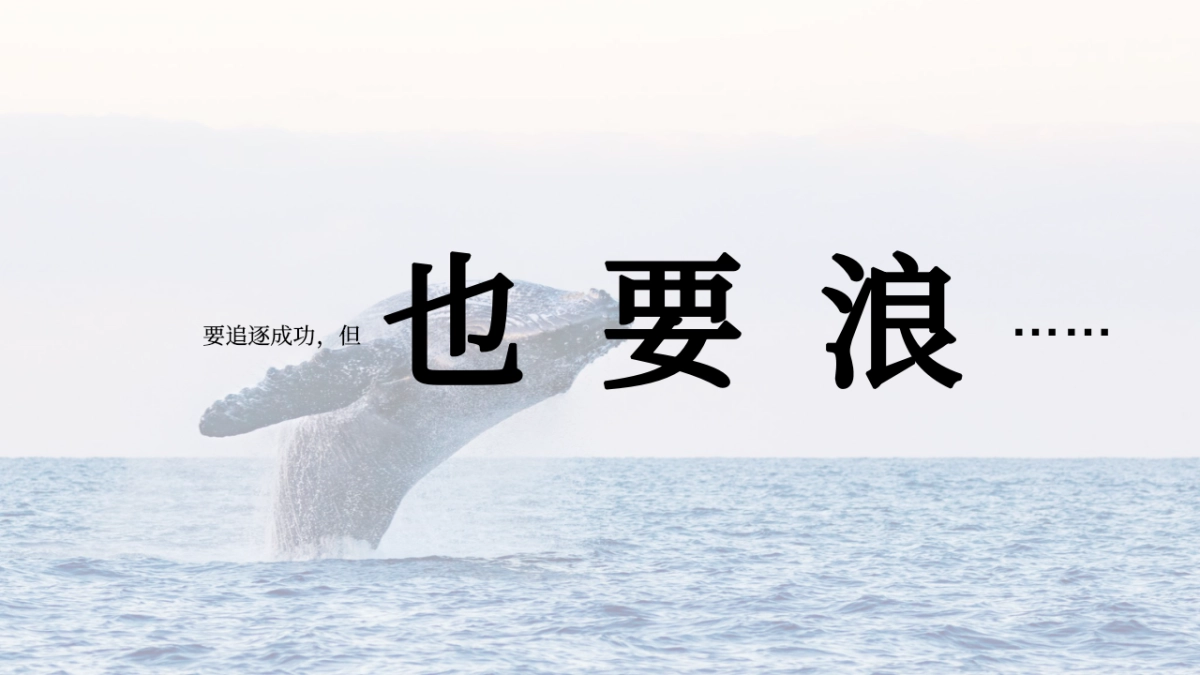 好浪啊文旅露营品牌包装方案_第6页