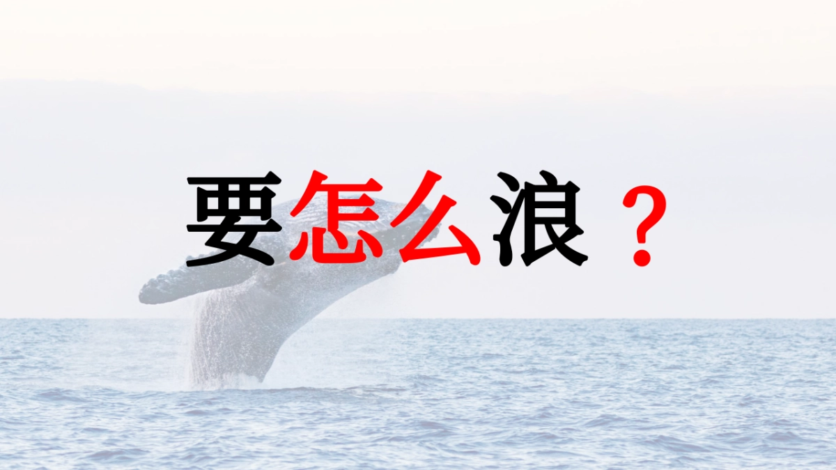 好浪啊文旅露营品牌包装方案_第7页