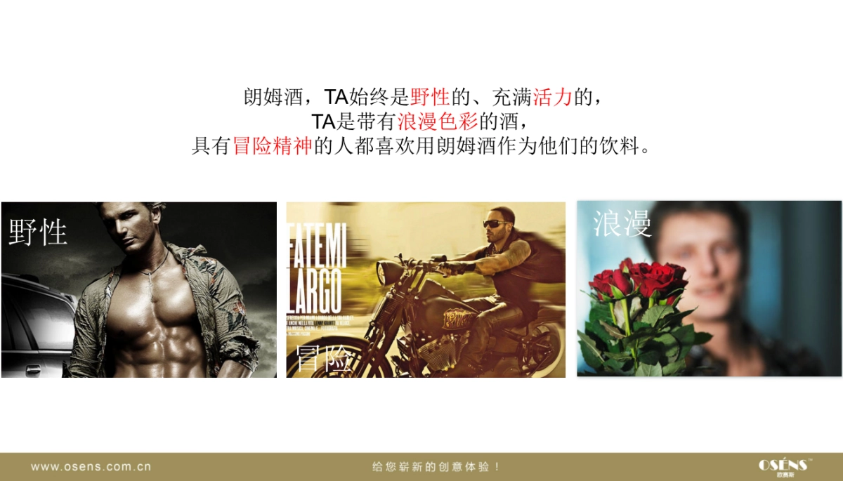 海酩威策划之王大型整合事件营销创意策划案_第5页