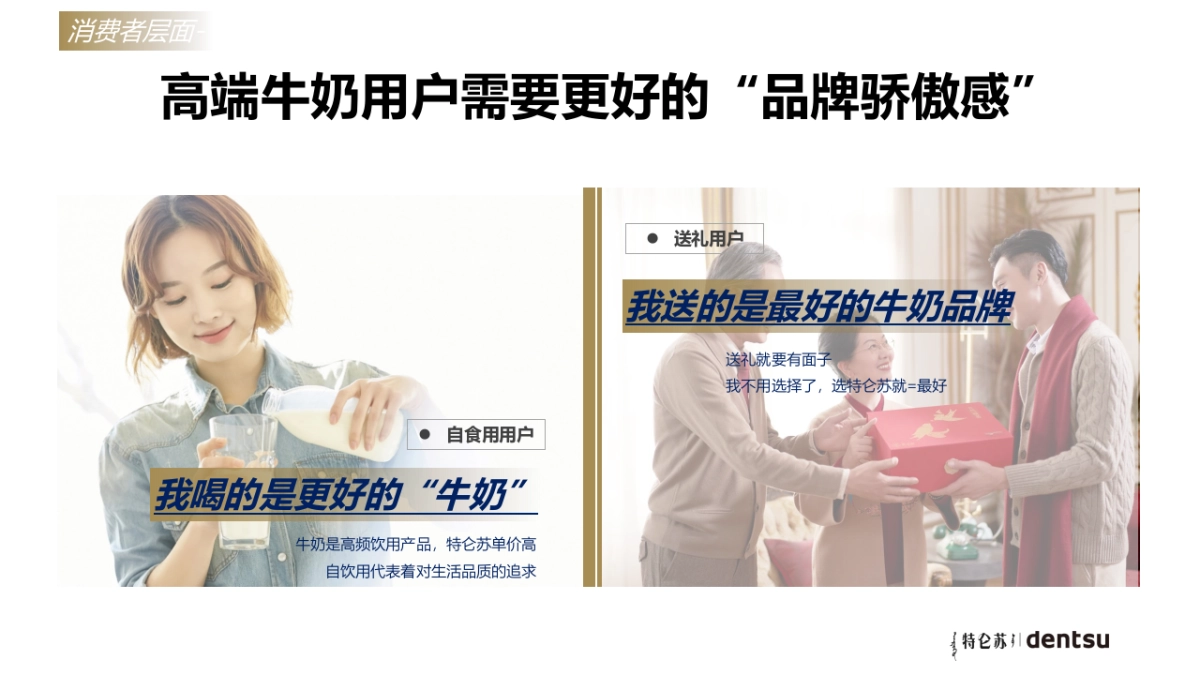 【特仑苏】2023年品牌暨新品营销策略_第9页