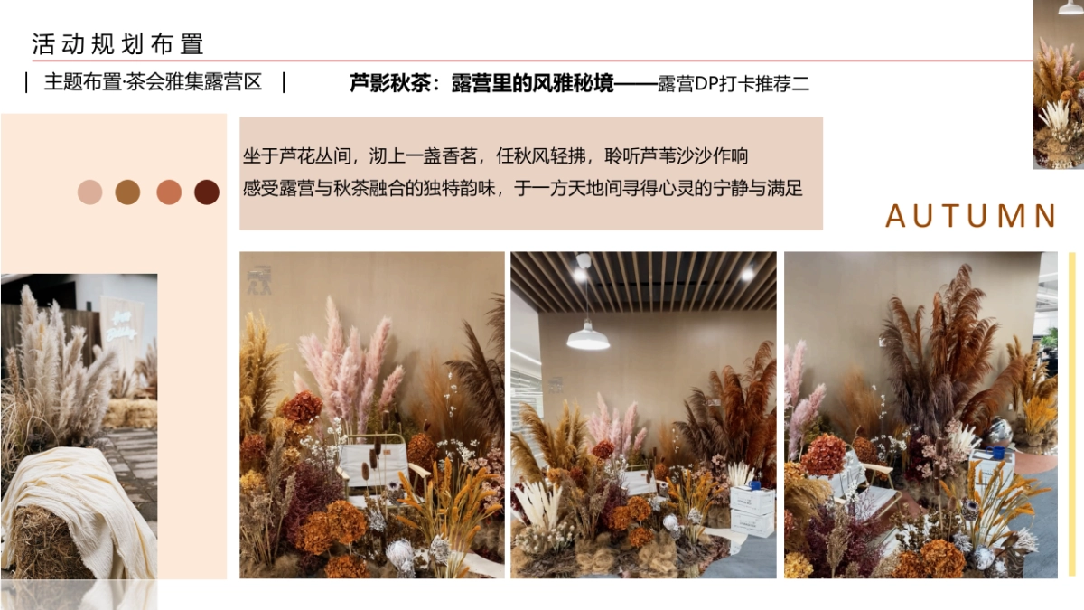 City秋野计划住进九月限定色卡_第10页