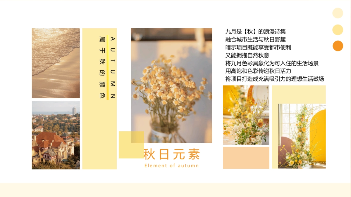 City秋野计划住进九月限定色卡_第2页