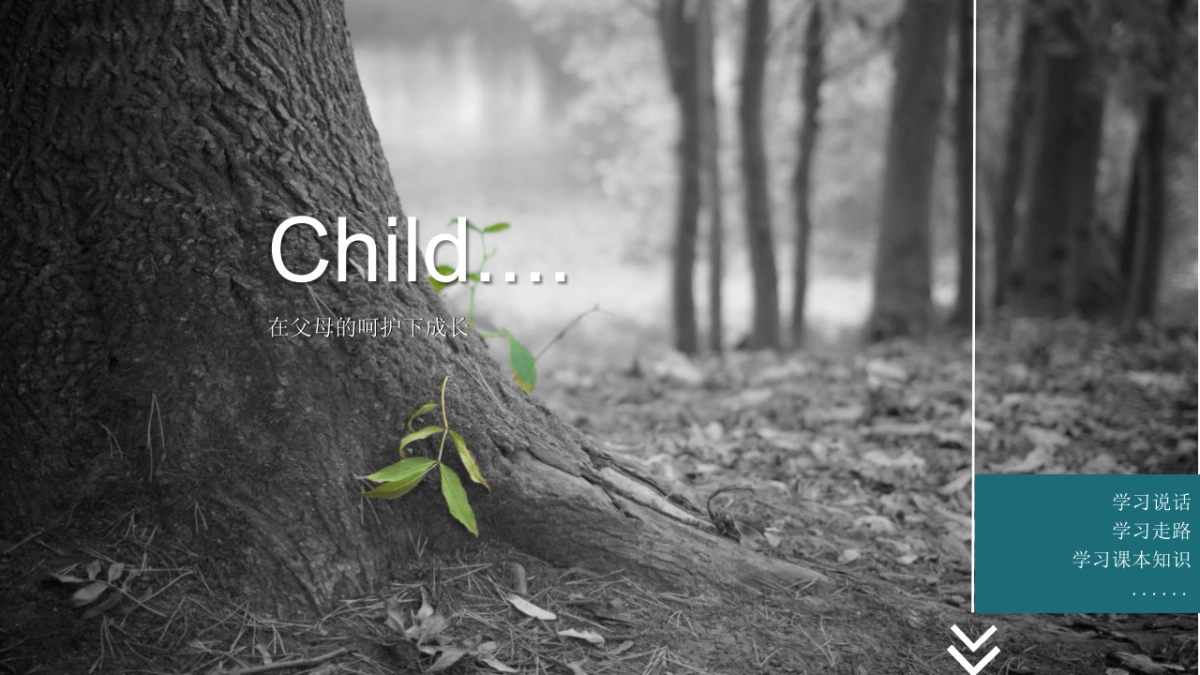 文旅地产邯郸莫恩小镇社会化营销传播方案_第10页