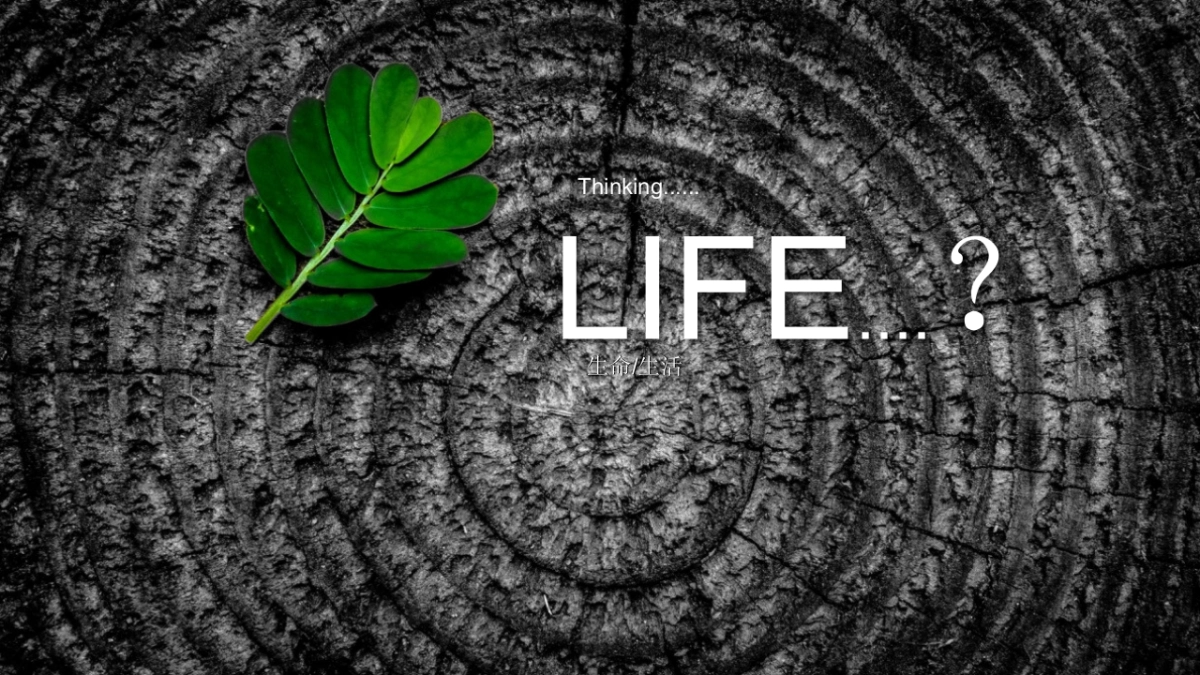 文旅地产邯郸莫恩小镇社会化营销传播方案_第9页