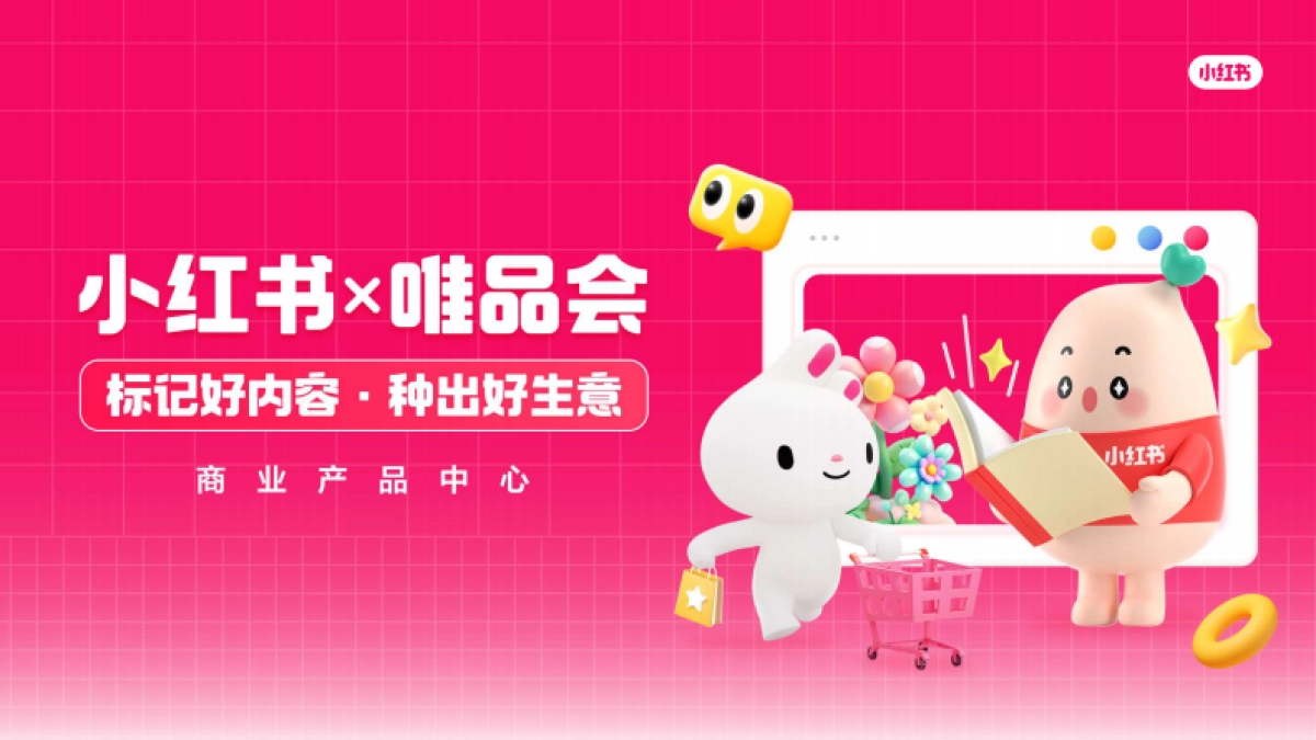 【小红链】小红书X唯品会playbook_第1页