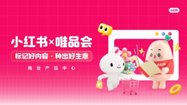 【小红链】小红书X唯品会playbook