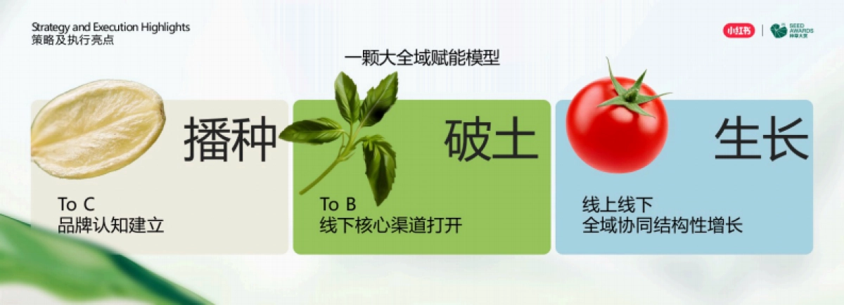 生鲜品牌一颗“小时候的番茄”在小红书种出10亿生意_第5页