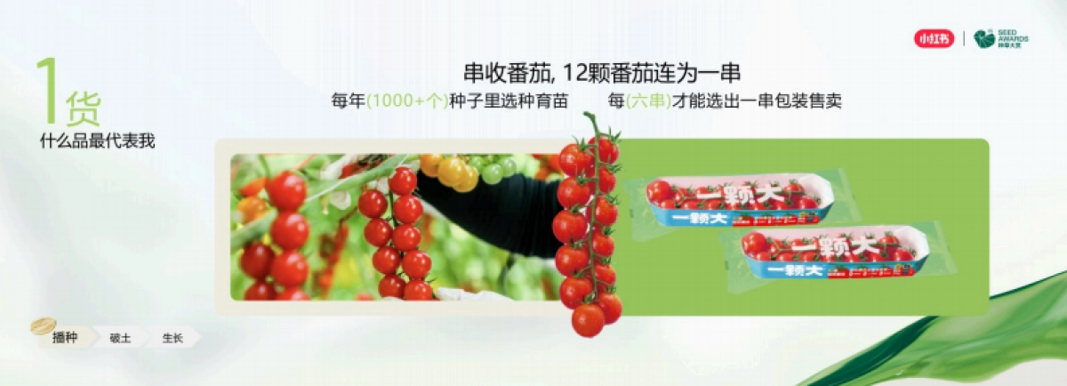 生鲜品牌一颗“小时候的番茄”在小红书种出10亿生意_第9页