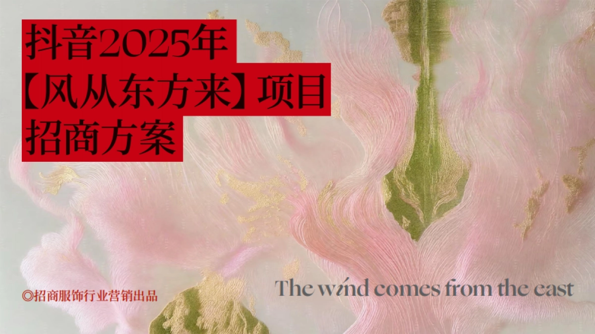 抖音2025年风从东方来项目招商方案_第1页