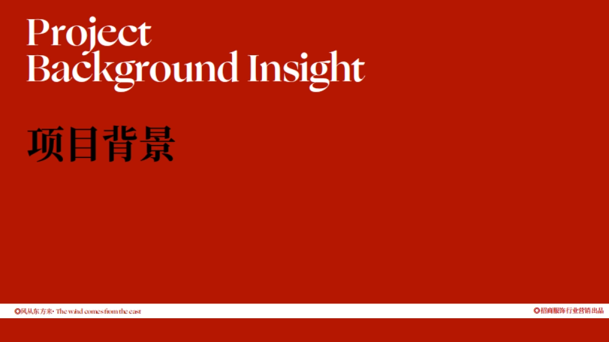 抖音2025年风从东方来项目招商方案_第2页