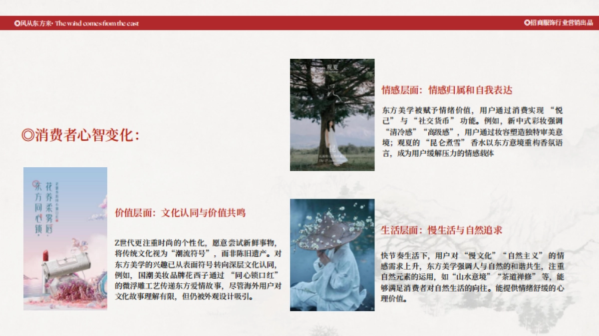 抖音2025年风从东方来项目招商方案_第5页