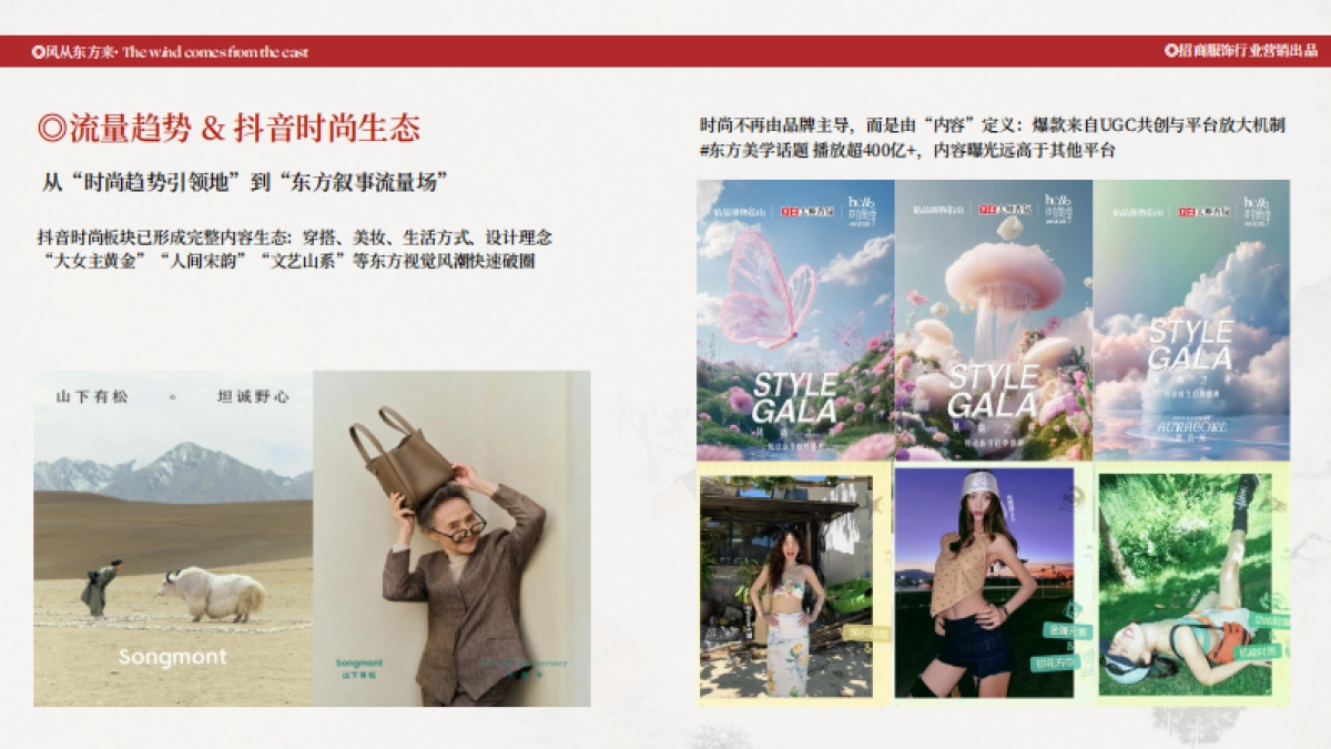 抖音2025年风从东方来项目招商方案_第6页