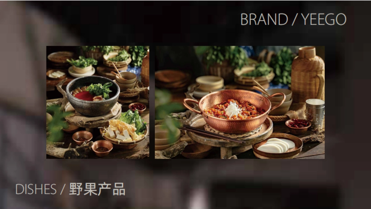 野果yeego-品牌手册_第10页