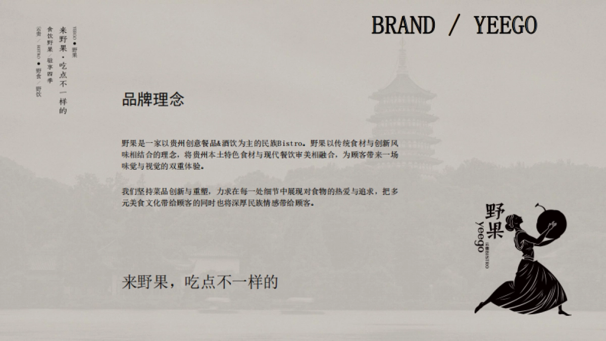野果yeego-品牌手册_第3页