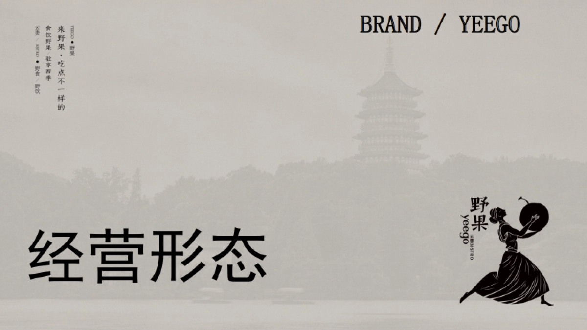 野果yeego-品牌手册_第5页