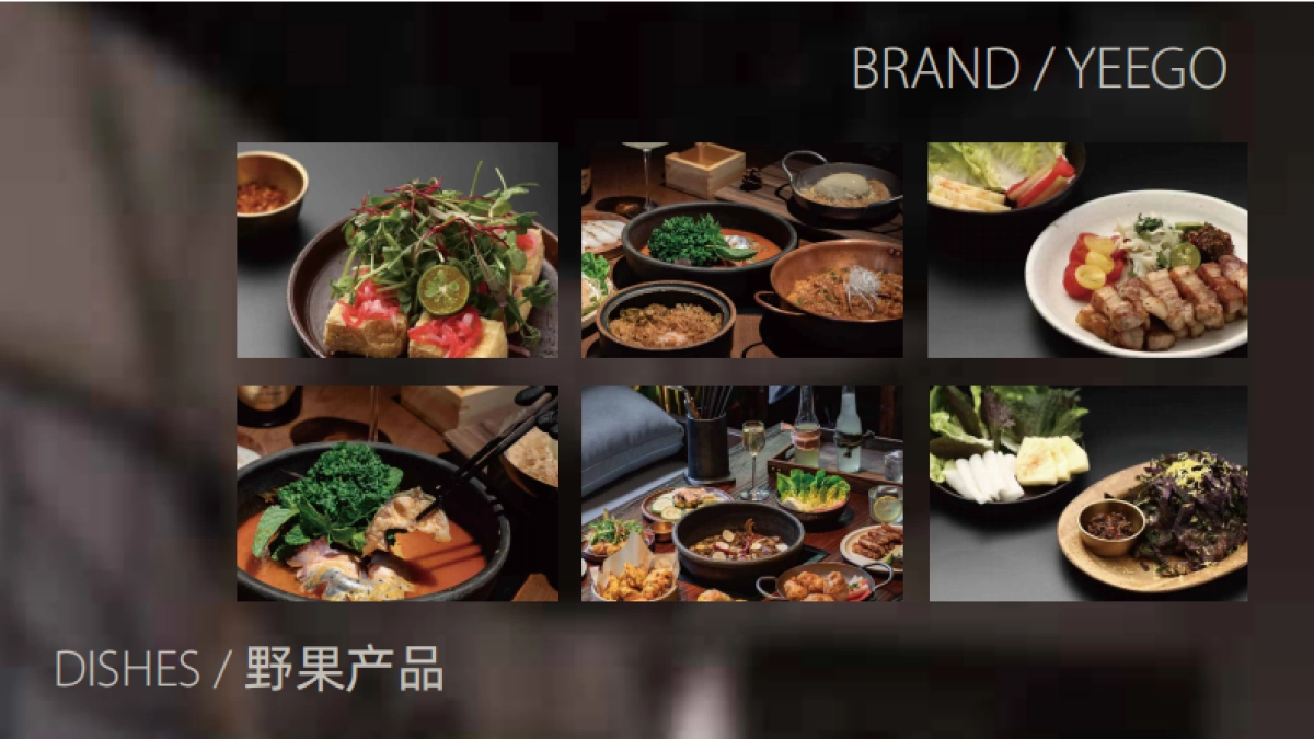 野果yeego-品牌手册_第8页