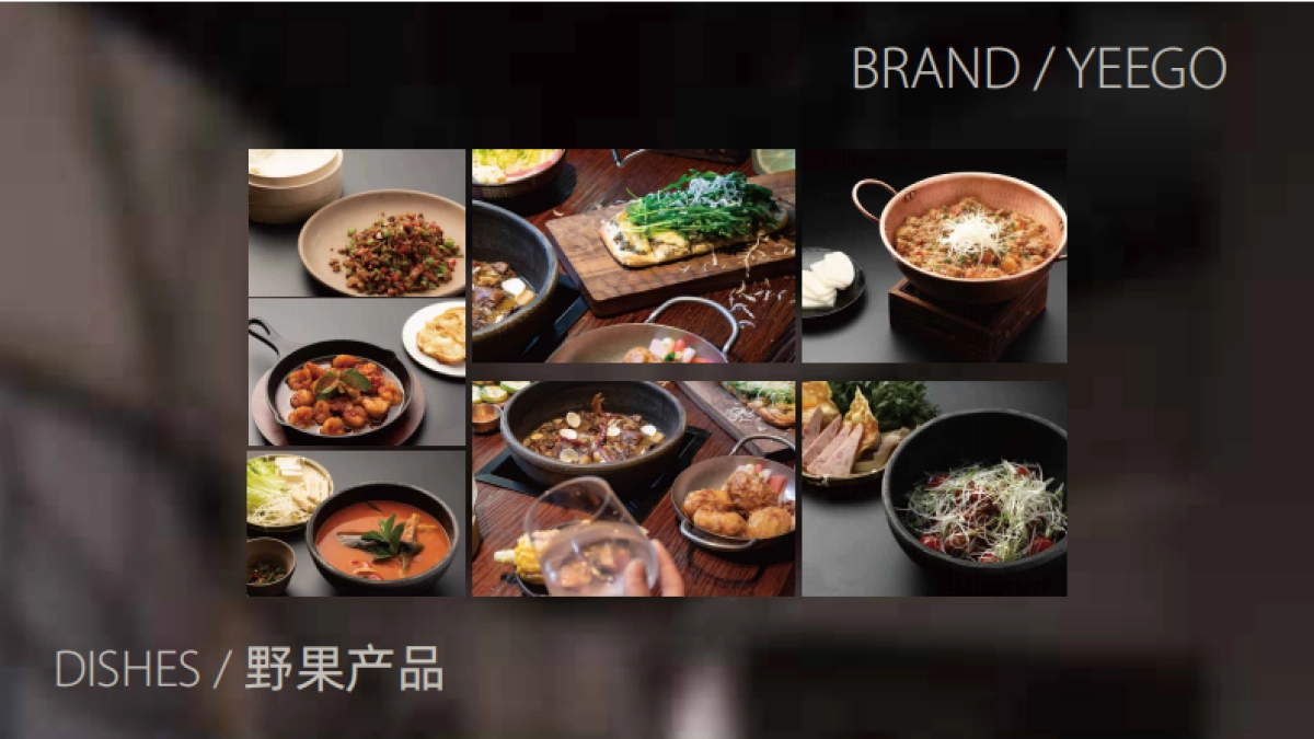 野果yeego-品牌手册_第9页