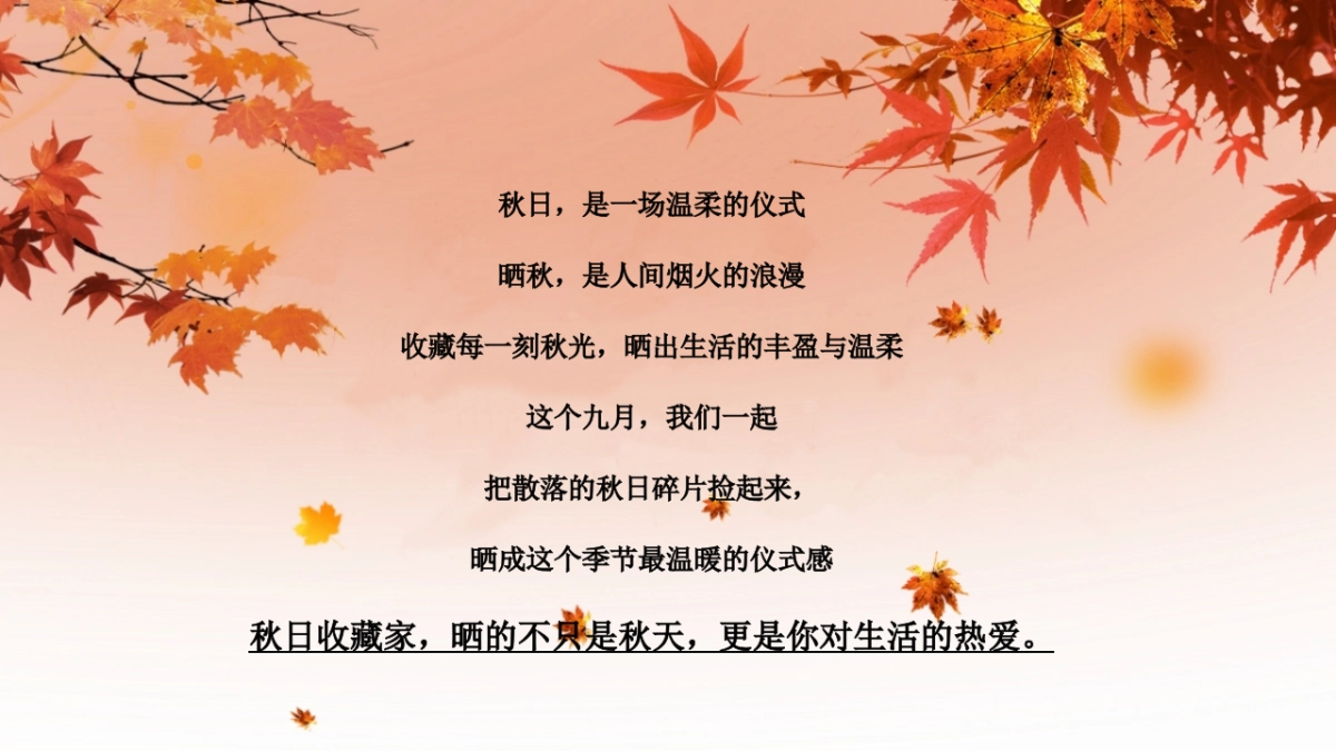 2025秋日收藏家晒秋大会丰收主题活动策划方案_第5页