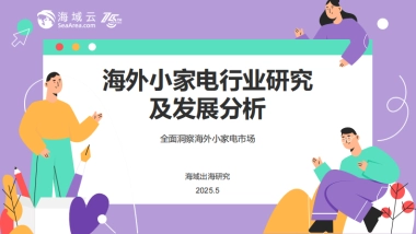 2025年海外小家电行业研究及发展分析报告-海域云