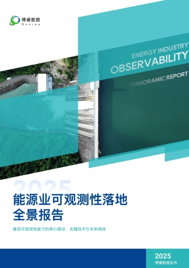 2025年能源行业可观测性落地全景报告-博睿数据